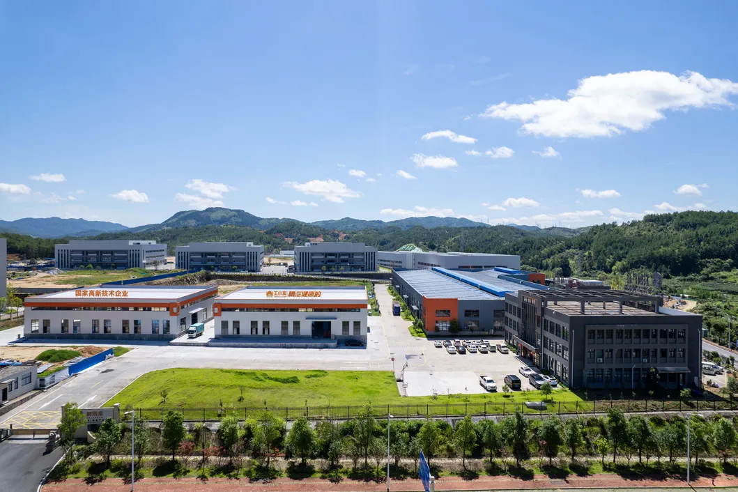 Edible Snow Fungus with Bird's Nest for Natural Ingredients Lovers