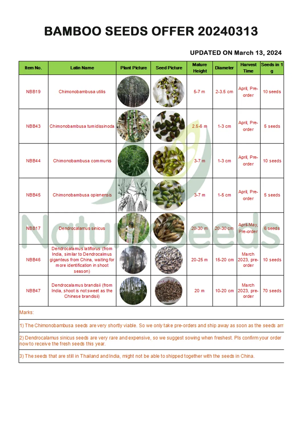 Naturix Moso/Phyllostachys Pubescens Bamboo Seeds for Sale