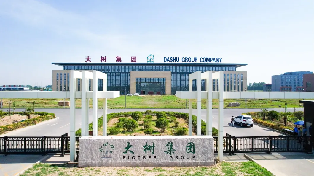 Hard and Soft Premium Healthy Ice Cream Powder