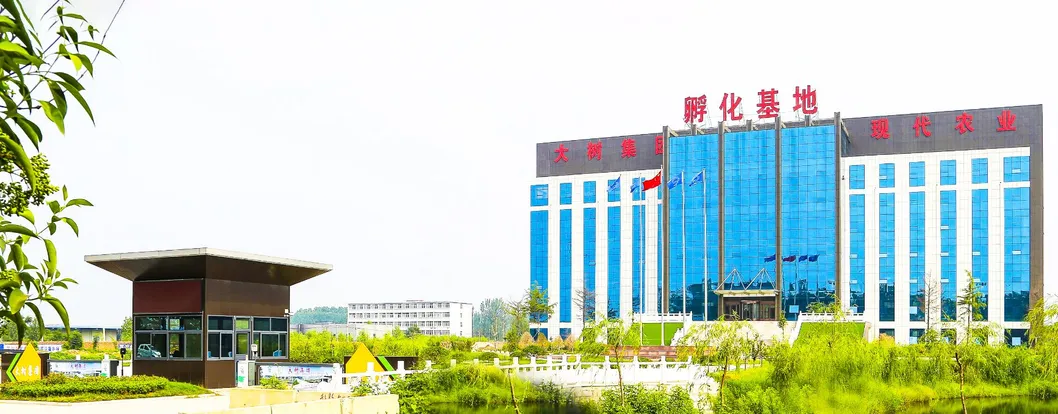 Hard and Soft Premium Healthy Ice Cream Powder