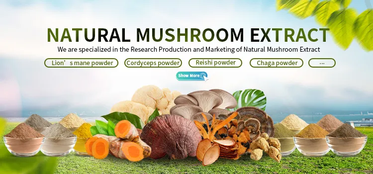 Gummy Candy Wholesale Custom Sweets Factory Price Chinese Gummy Candy Manufacturer