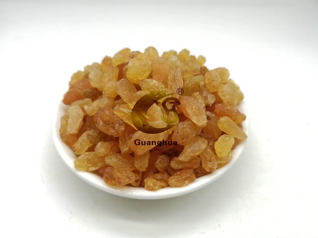 Pure Natural Color Raisin Cheap Price for Export