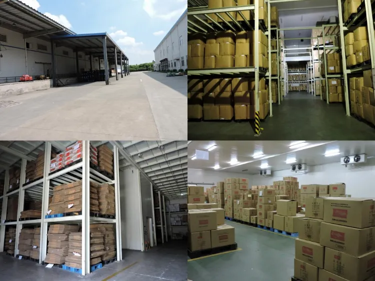 Dried Mushroom Edible Fungus Boletus Edulis Porcini