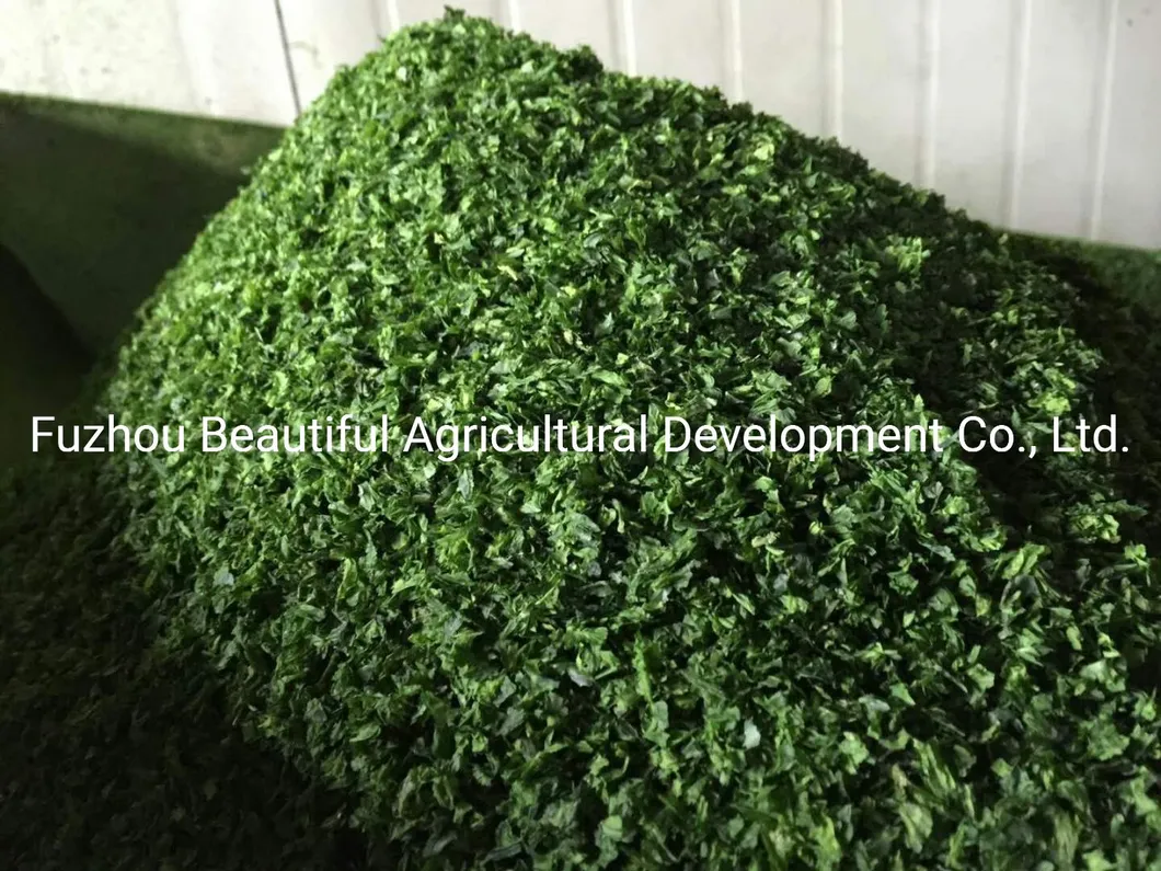 Food Grade Ulva Lactuca/Aonori Seaweed