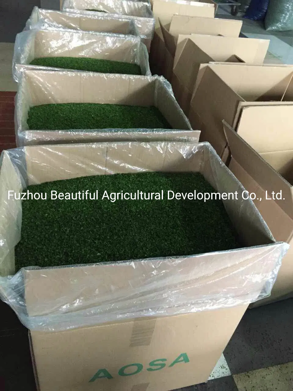 Food Grade Ulva Lactuca/Aonori Seaweed