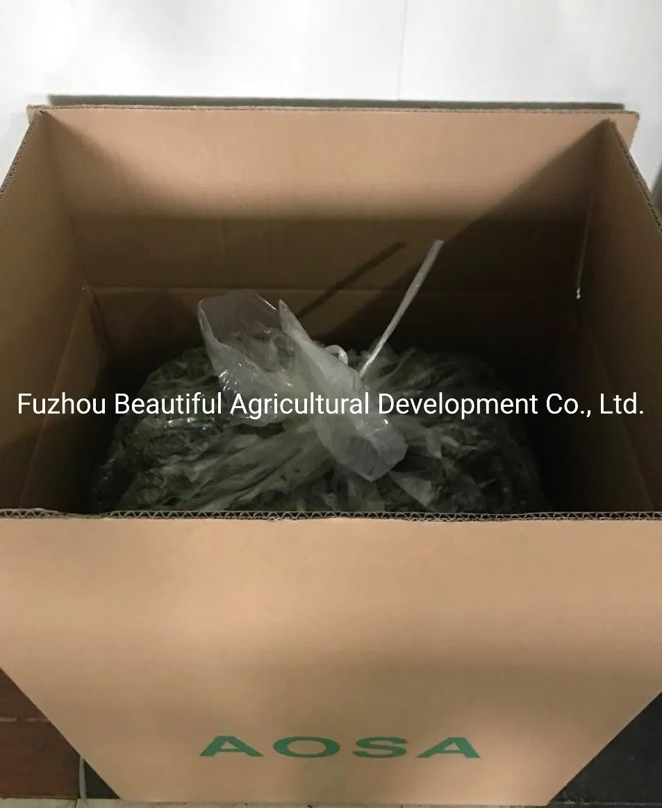 Food Grade Ulva Lactuca/Aonori Seaweed