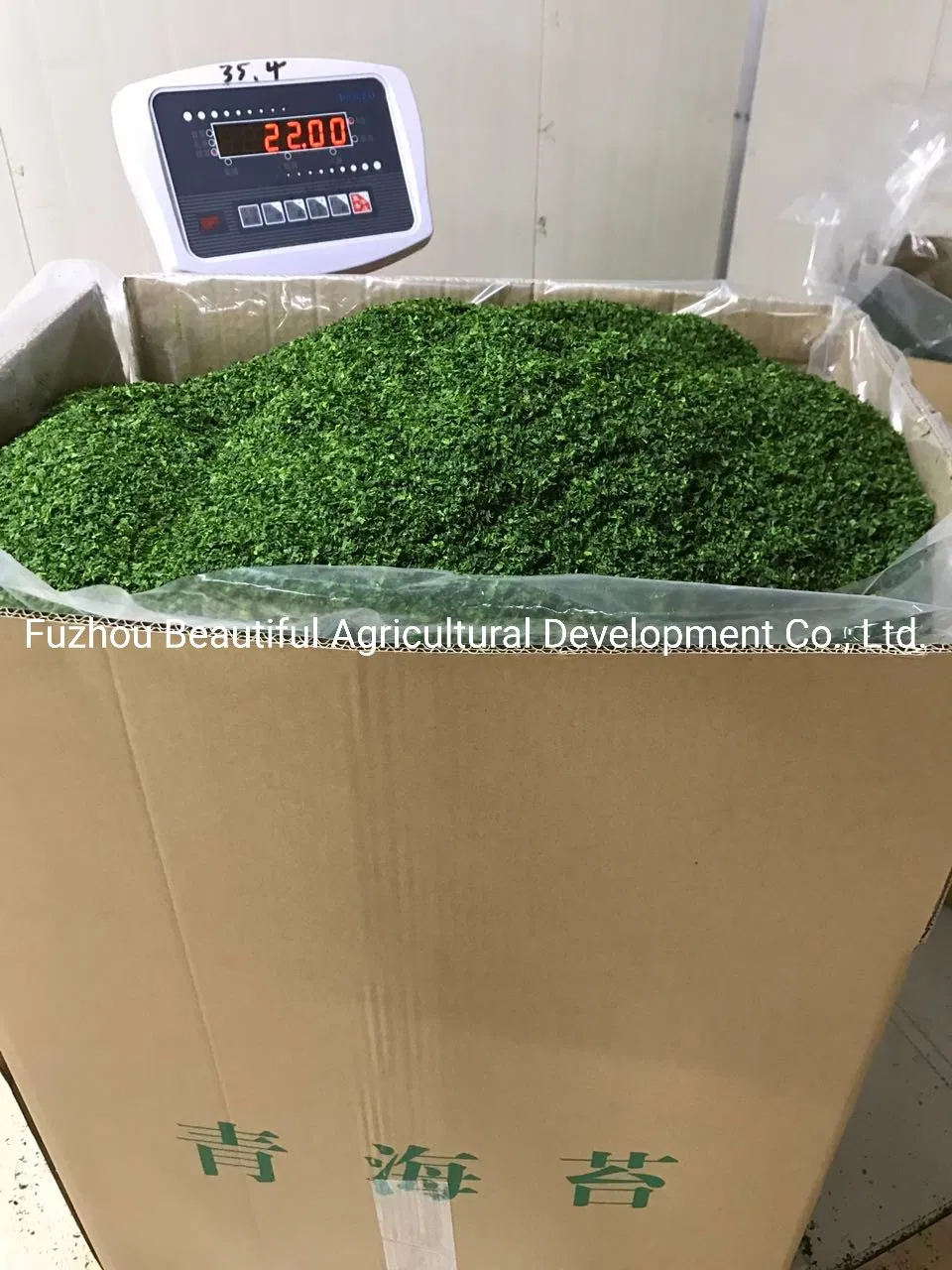 Food Grade Ulva Lactuca/Aonori Seaweed