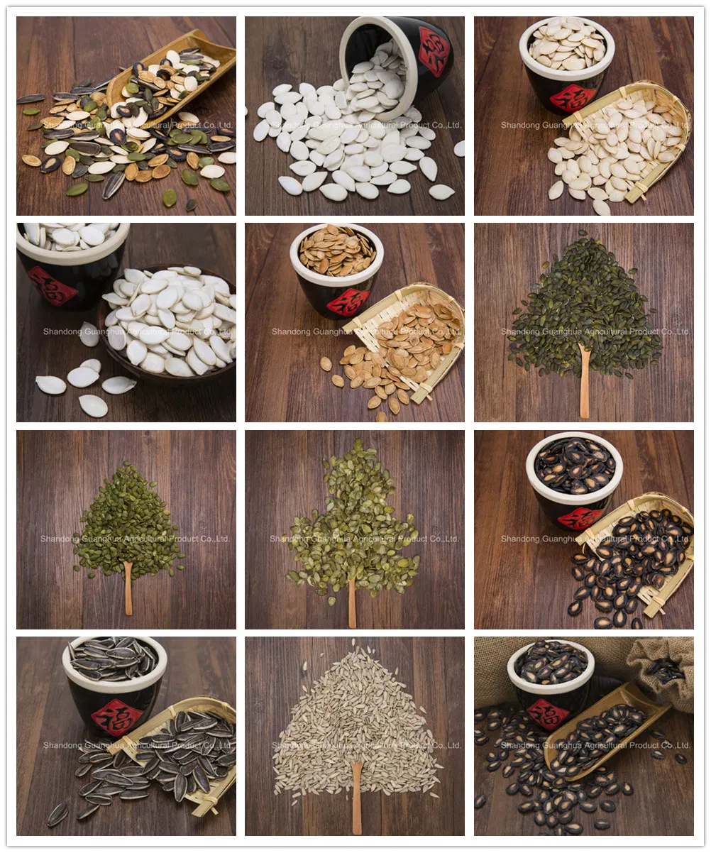 Crop 2025 Shine Skin Pumpkin Seed Kernels AAA Grade