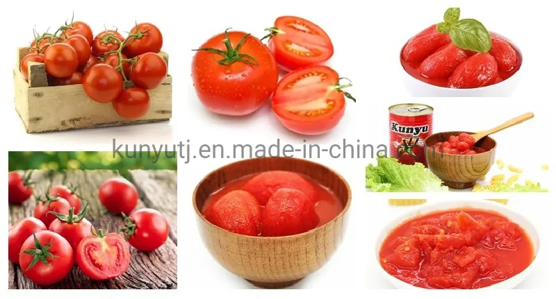 Fresh Tomato Canned Peeled Tomato in Water/Tomato Sauce Factory Supply