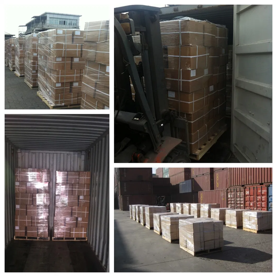 Premium Organic Dried Seabuckthorn Berries Rich in Nutrients