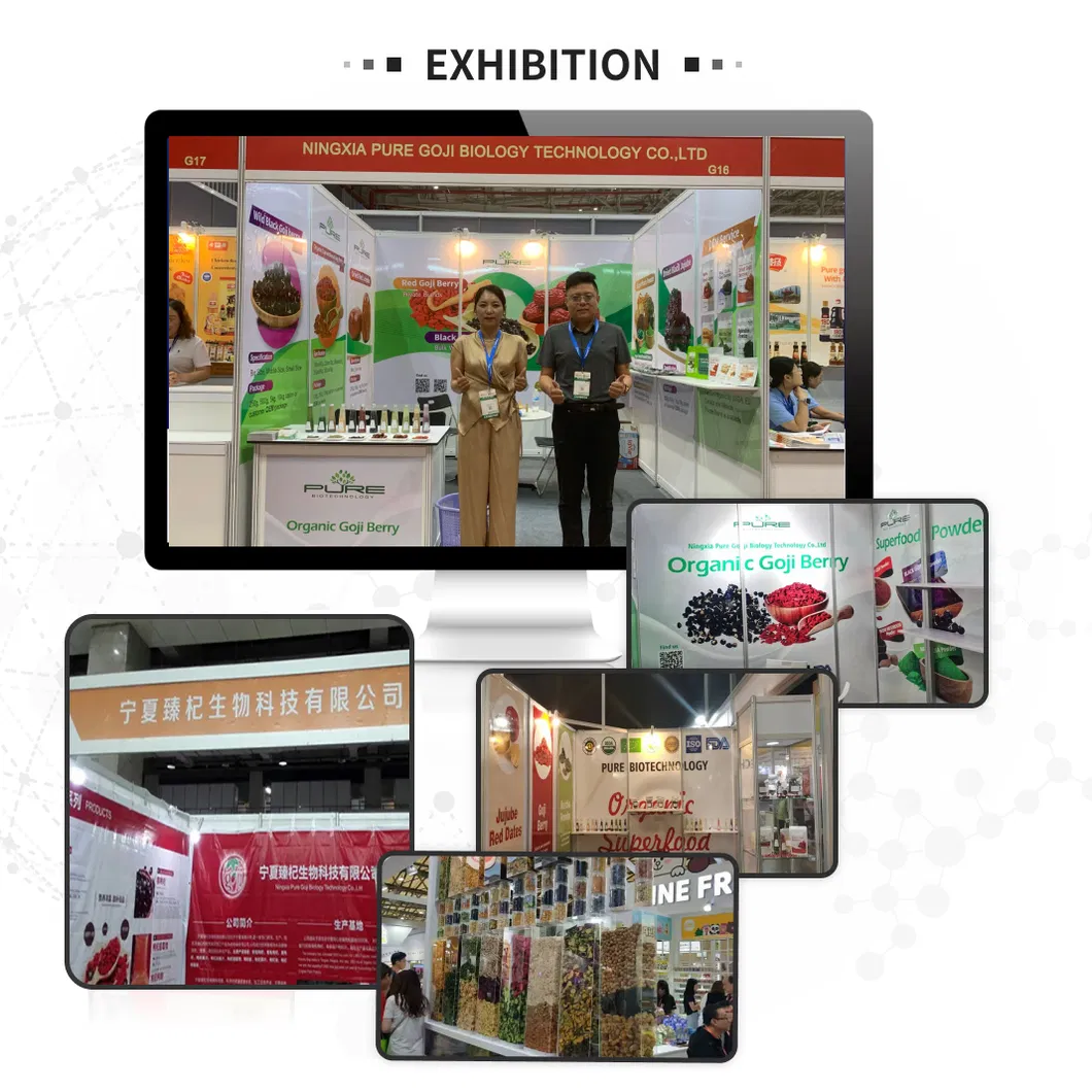 Premium Organic Dried Seabuckthorn Berries Rich in Nutrients