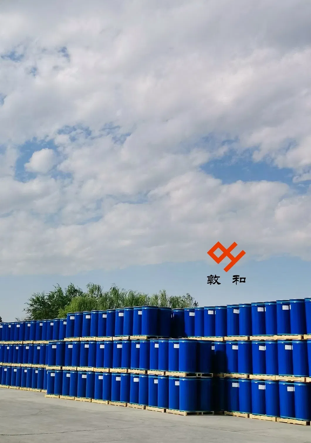 Authentic Hot Break Tomato Sauce with 36-38% Brix for Chefs