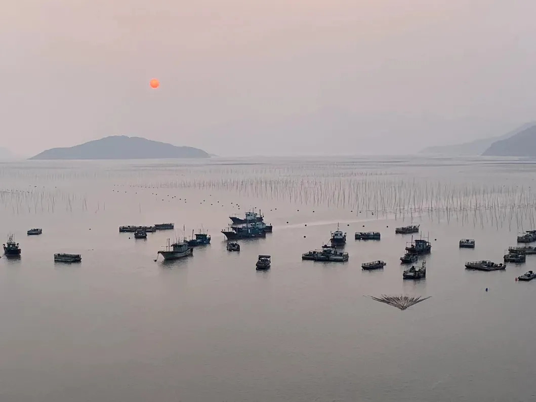 OEM Product Health Seaweed Dried Nori for Food Cooking