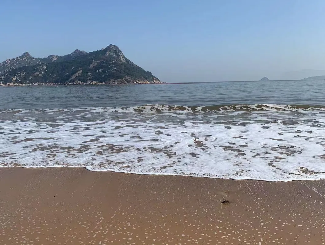 OEM Product Health Seaweed Dried Nori for Food Cooking