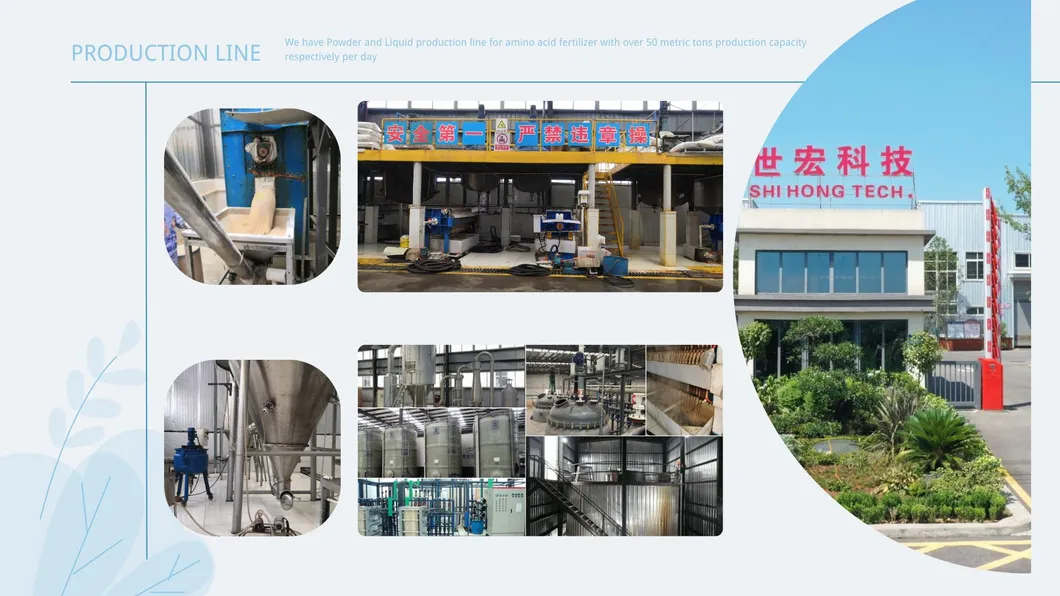 Omri Listed Enzymatic Hydrolysis Amino Acid Liquid 50% Amino Acid Fertilizer