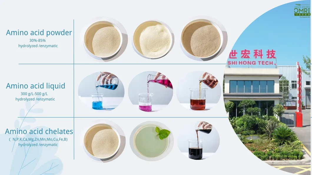 Omri Listed Enzymatic Hydrolysis Amino Acid Liquid 50% Amino Acid Fertilizer