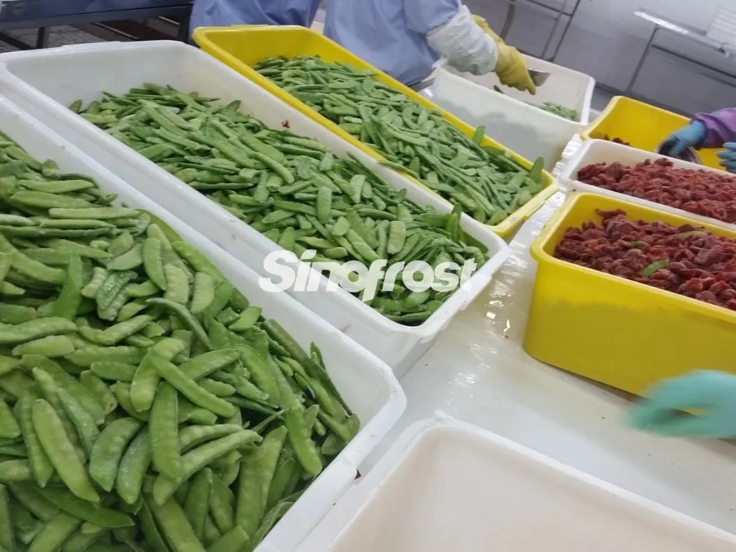 IQF Mixed Vegetables,Frozen Mixed Vegetable,Vegetable Blend,Green Beans,Green Pea,Carrot,Corn Kernel,Pepper,Onion,3/4/5/6 ,Vegetables Mix,Frozen Vegetables