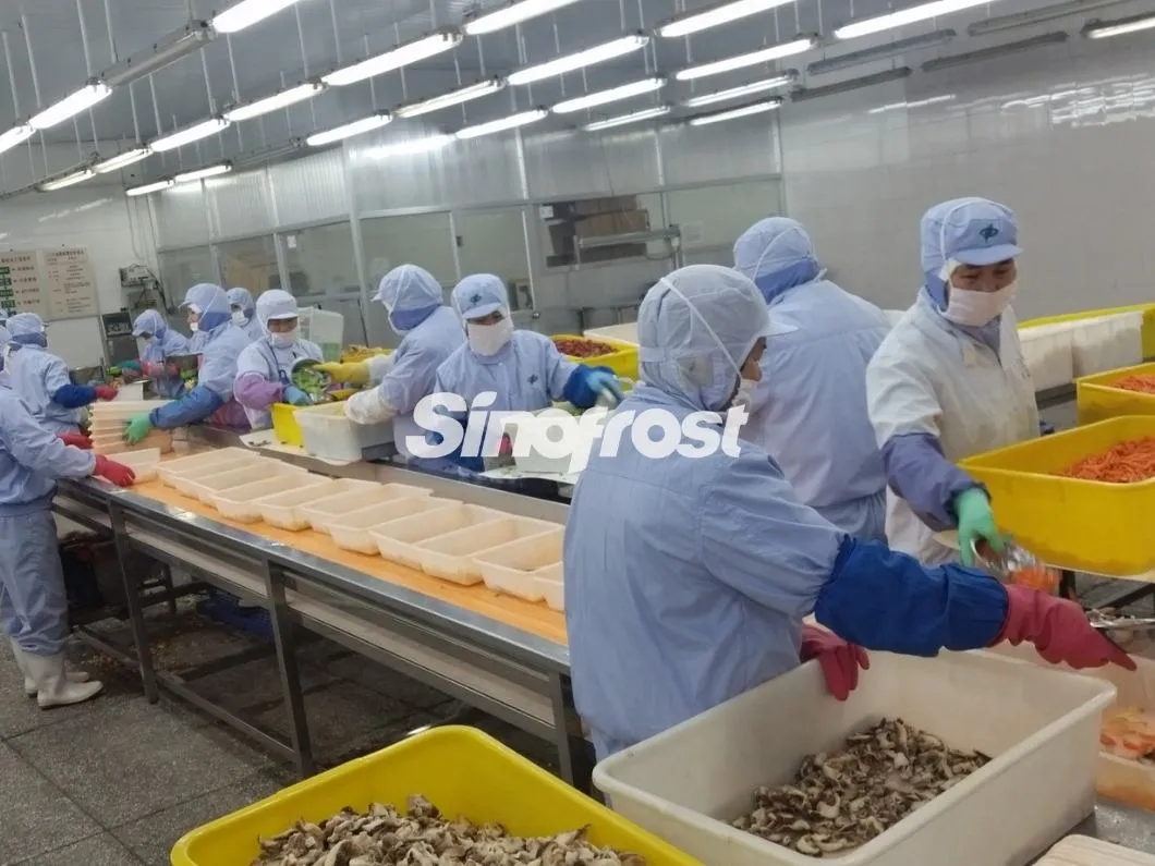 IQF Mixed Vegetables,Frozen Mixed Vegetable,Vegetable Blend,Green Beans,Green Pea,Carrot,Corn Kernel,Pepper,Onion,3/4/5/6 ,Vegetables Mix,Frozen Vegetables