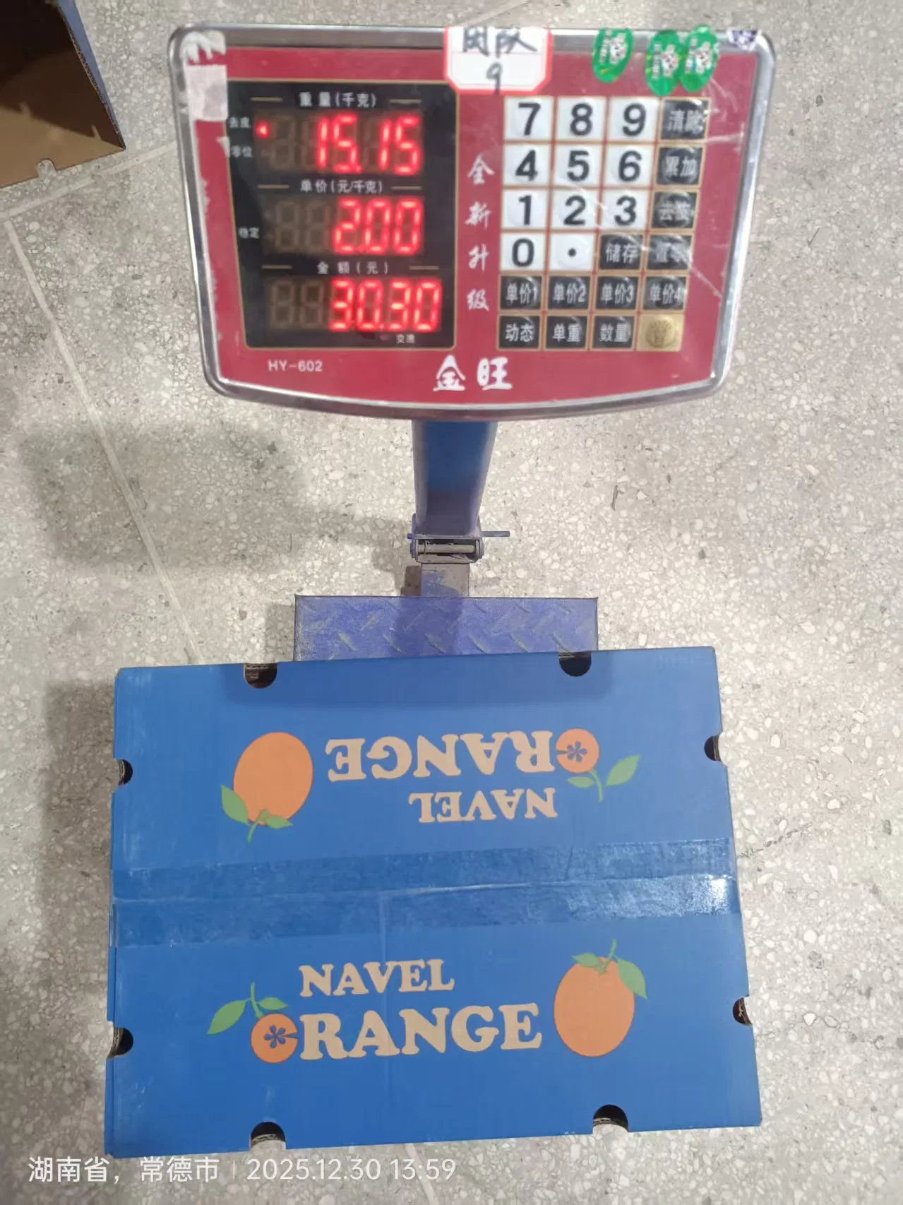 New Crop Navel Orange Super Quality