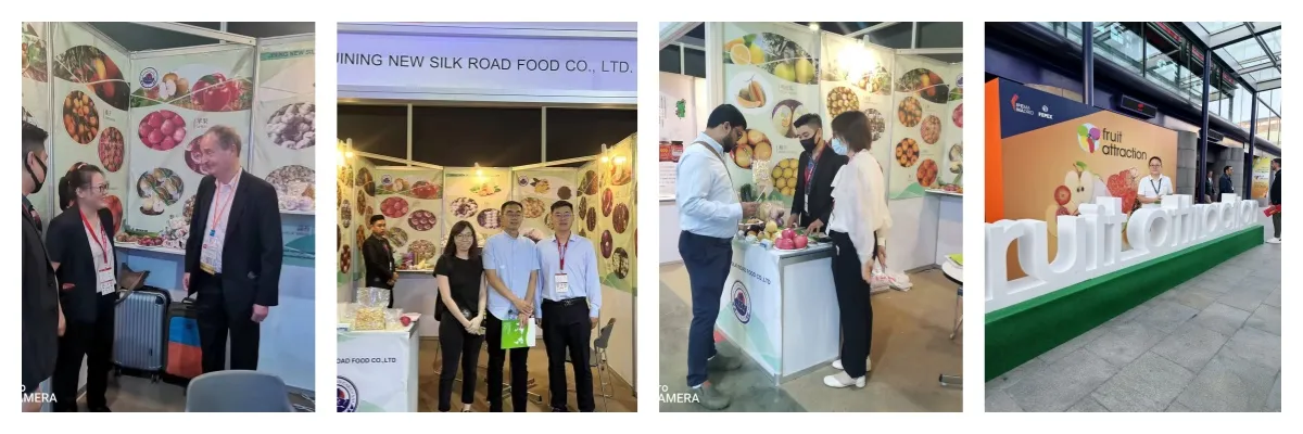 New Crop Navel Orange Super Quality