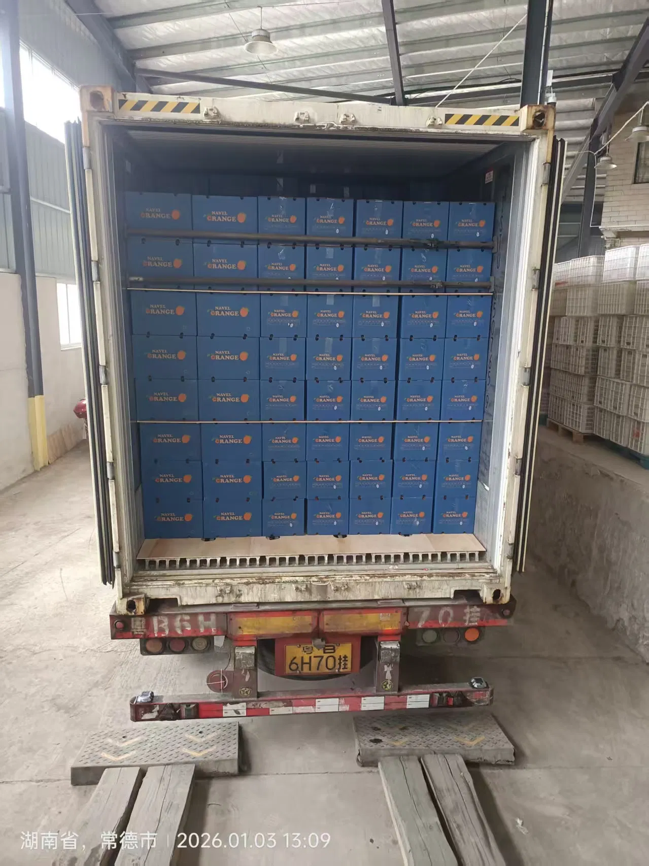 New Crop Navel Orange Super Quality