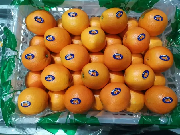 New Crop Navel Orange Super Quality