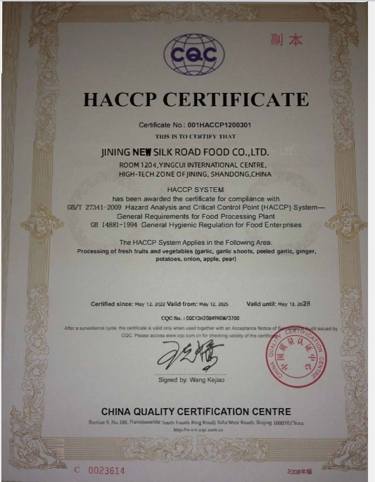 New Crop Navel Orange Super Quality