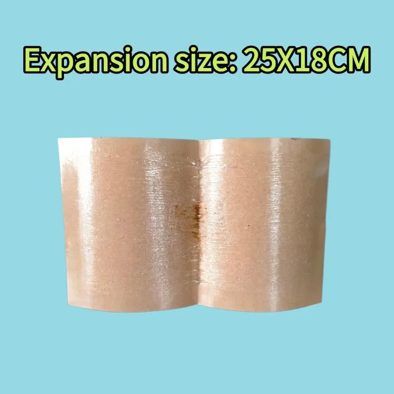 Outdoor Waterproof Insect Catcher Trap