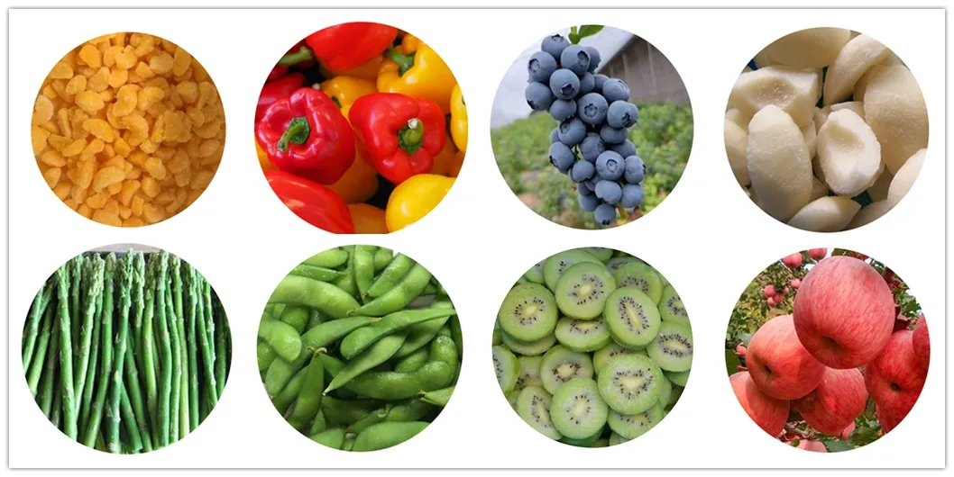 Certified Whole Strawberries 20-25mm for Sea Transportation in Plastic Package