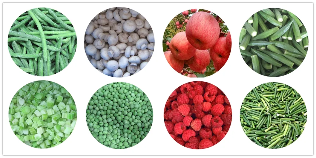 Certified Whole Strawberries 20-25mm for Sea Transportation in Plastic Package