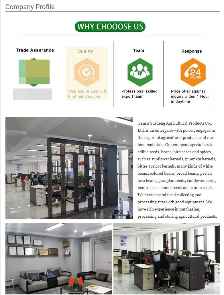 New Crop Fruit Product Dry Fruits Dried Cherry