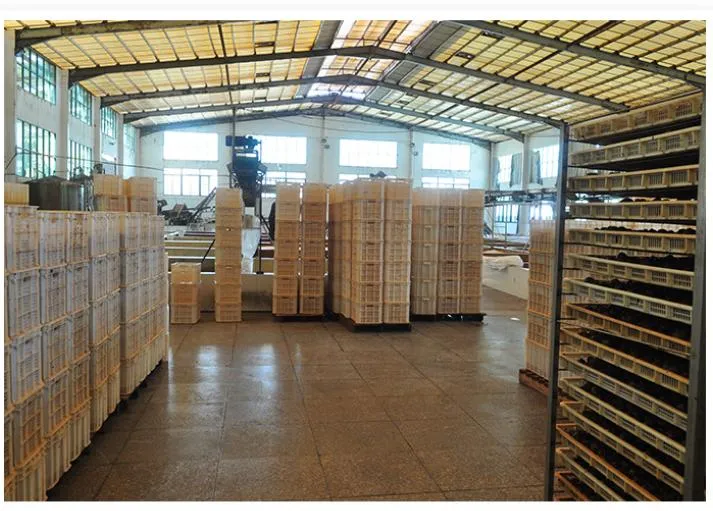 China Origin Wholesale Price Hot Sale Dry Fruits Blueberry