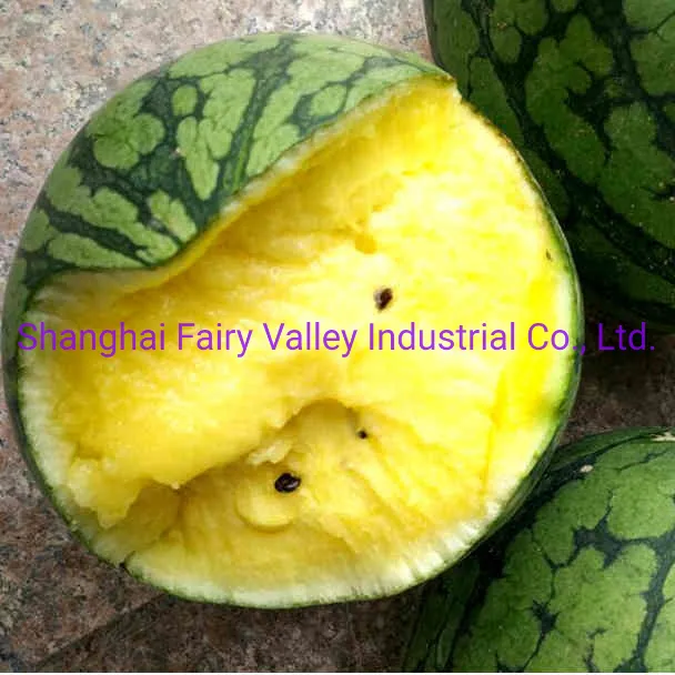 Hybrid F1 Yellow Flesh Watermelon Seeds for Growing-Yellow Cream