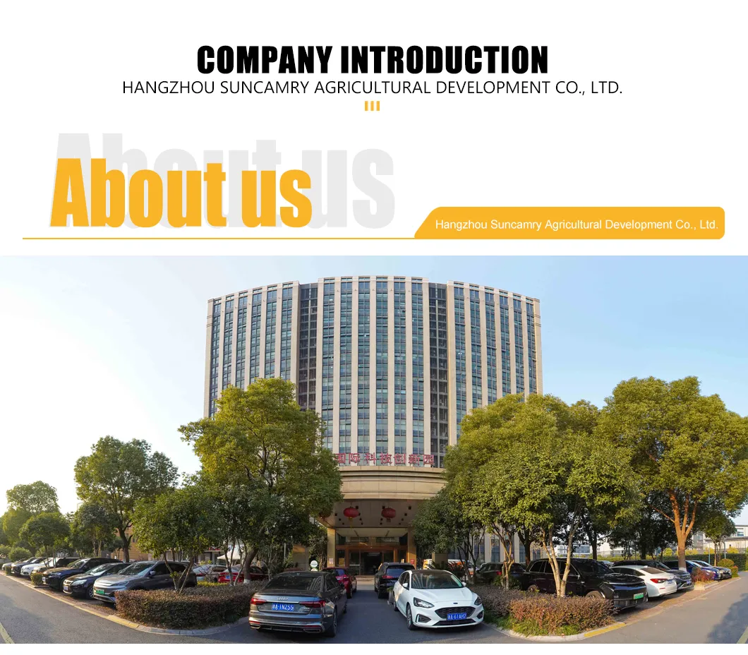 Organic Fresh Silky Smooth Pistachio Paste with Export Quality