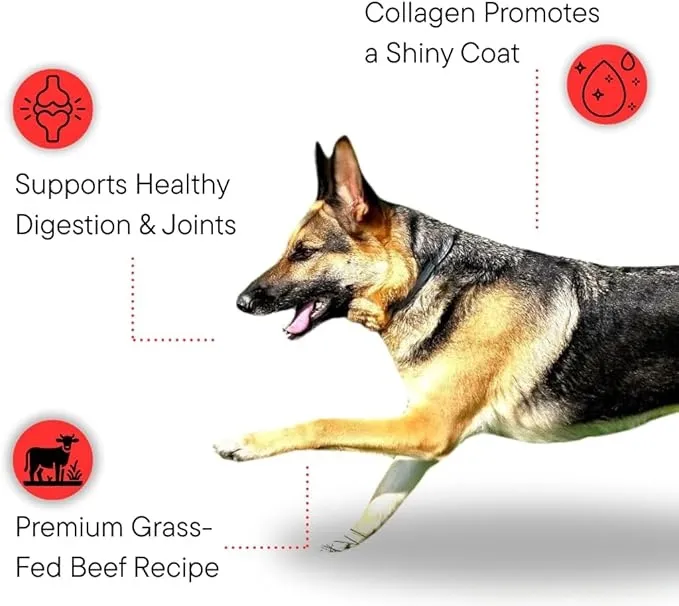 Best-Selling Quick Delivery Full Nutrition 18%-45% Crude Protein Dry Dog Food