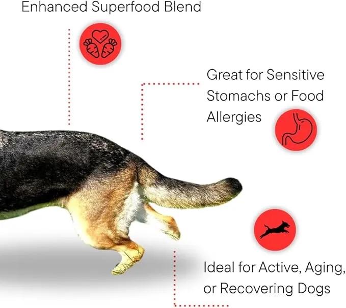 Best-Selling Quick Delivery Full Nutrition 18%-45% Crude Protein Dry Dog Food