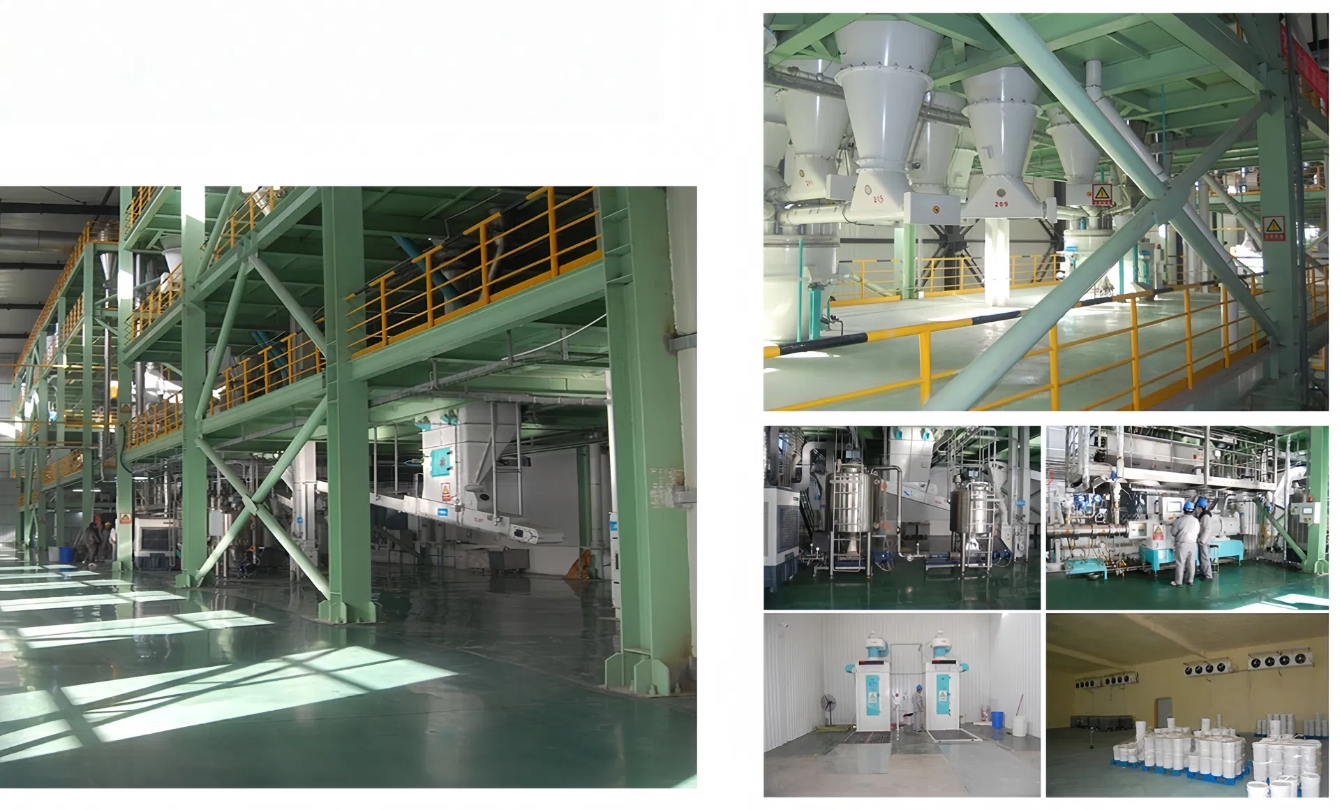 Best-Selling Quick Delivery Full Nutrition 18%-45% Crude Protein Dry Dog Food