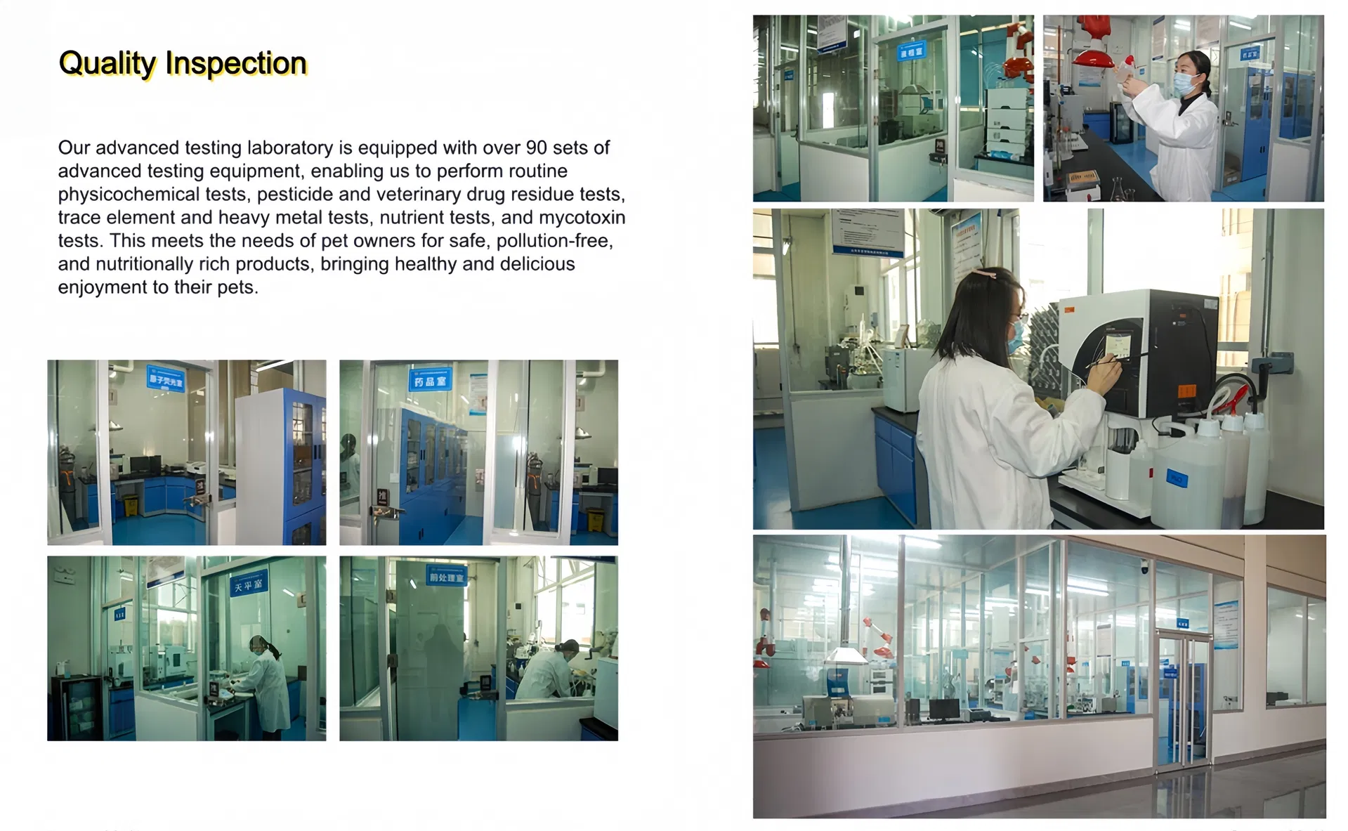 Best-Selling Quick Delivery Full Nutrition 18%-45% Crude Protein Dry Dog Food