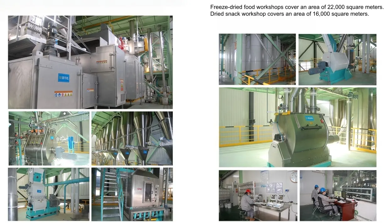 Best-Selling Quick Delivery Full Nutrition 18%-45% Crude Protein Dry Dog Food