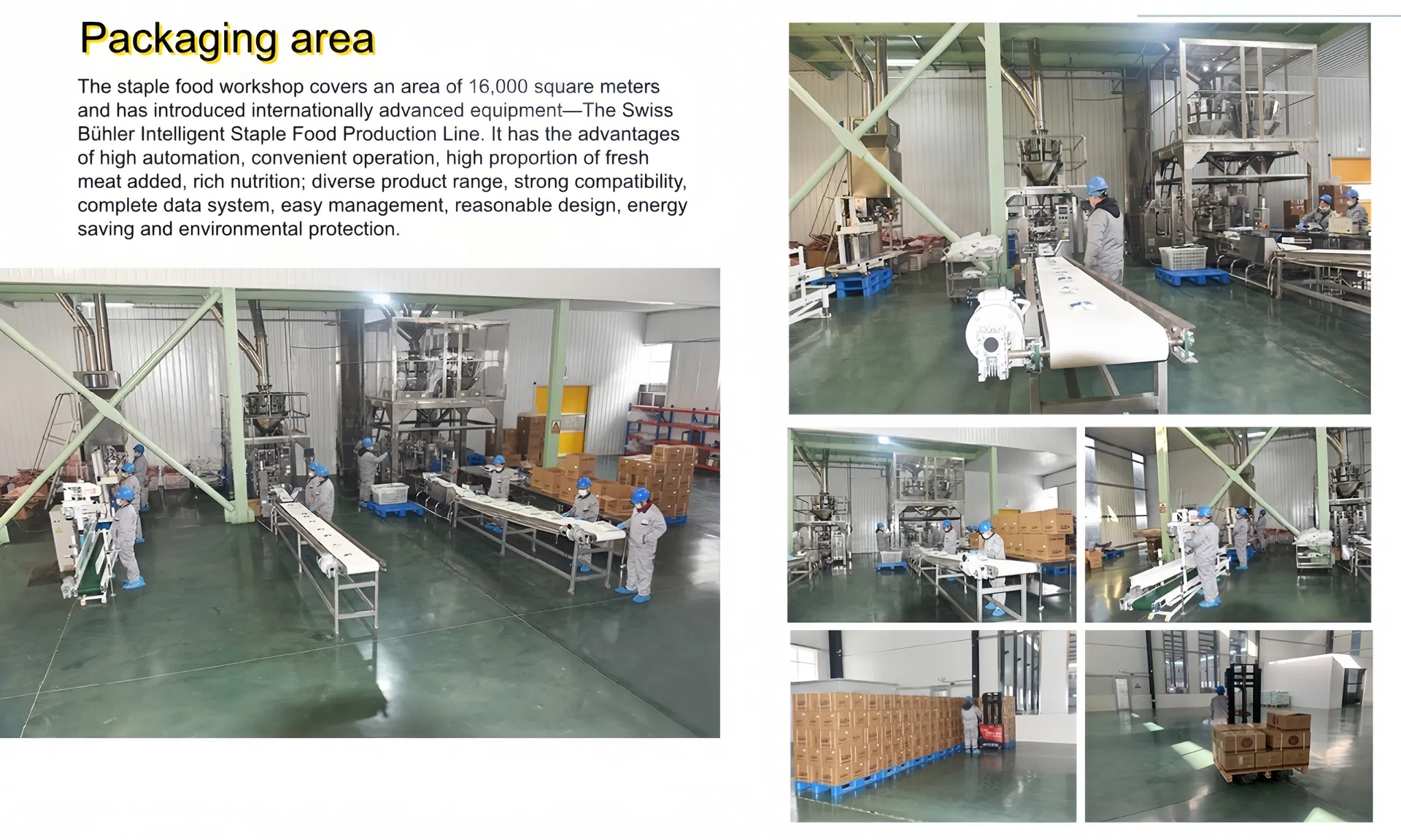 Best-Selling Quick Delivery Full Nutrition 18%-45% Crude Protein Dry Dog Food