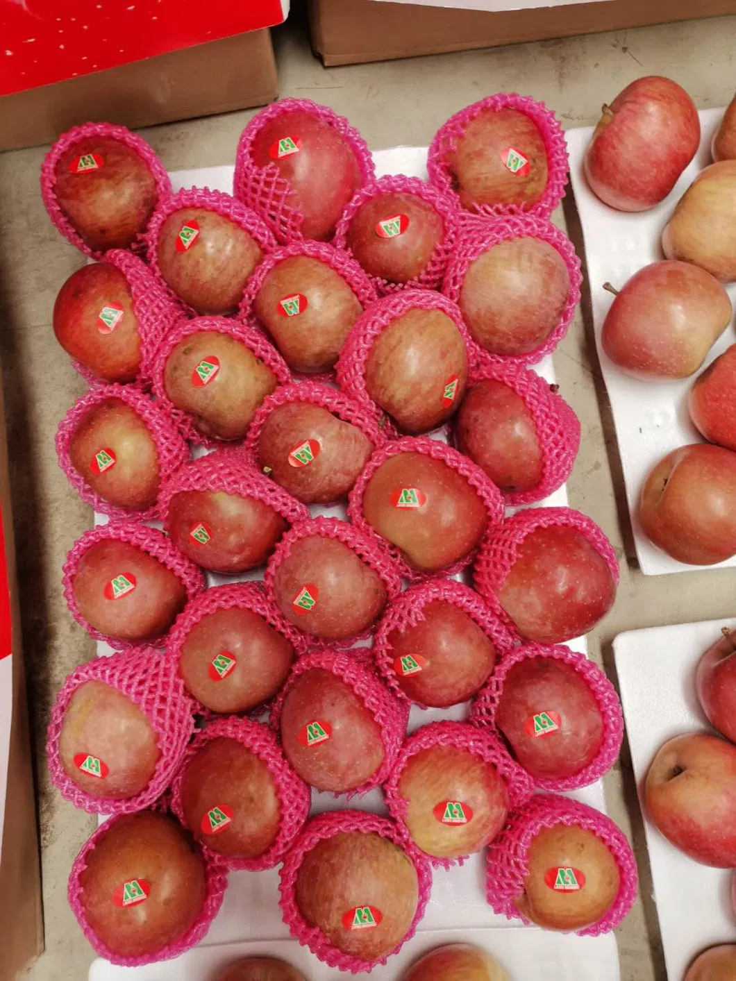 Bangladesh Favorite Fresh Non Bag FUJI Apple Size 138-198