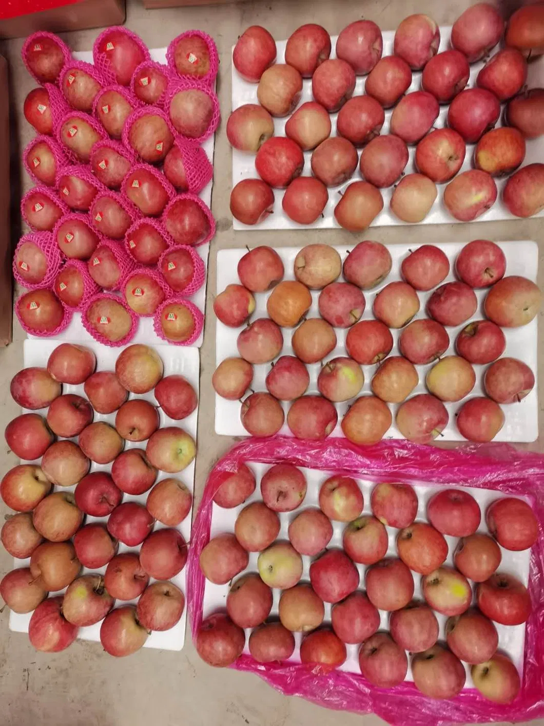 Bangladesh Favorite Fresh Non Bag FUJI Apple Size 138-198