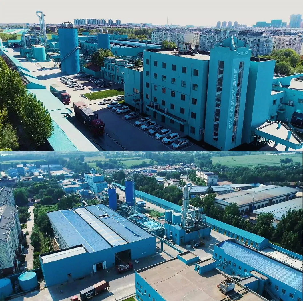 Fos Certified Omega-3 Different Proportion of EPA and DHA Refined Fish Oil by Shandong Yuwang Pharma