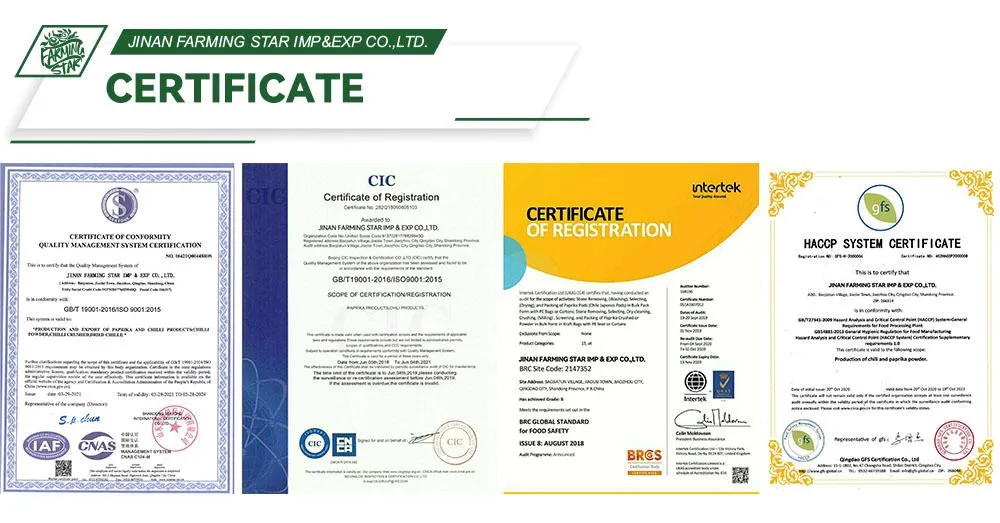 Specialized Chilli Paprika Pepper Factory Export Sweet Paprika and Hot Chilli Seeds Sweet Pepper Capsicum