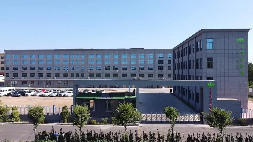 Brc/HACCP/Halal Crispy Fried Chicken Nugget Coating Purposed Bread Premix Powder