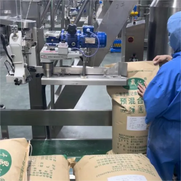 Brc/HACCP/Halal Crispy Fried Chicken Nugget Coating Purposed Bread Premix Powder