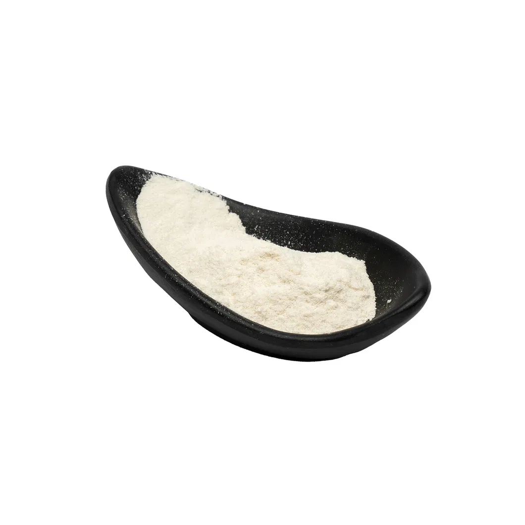 China Factory Manufacture Vital Wheat Gluten / Wheat Gluten Pellets 82%, 75%