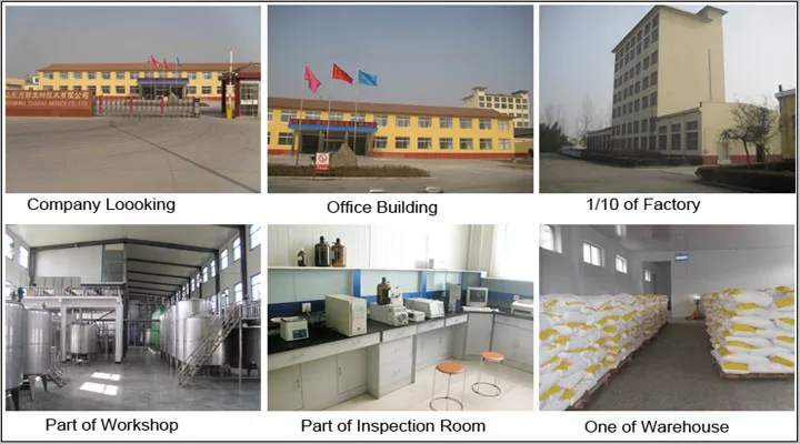 Fat Powder -Vegetable Fat Powder 80%