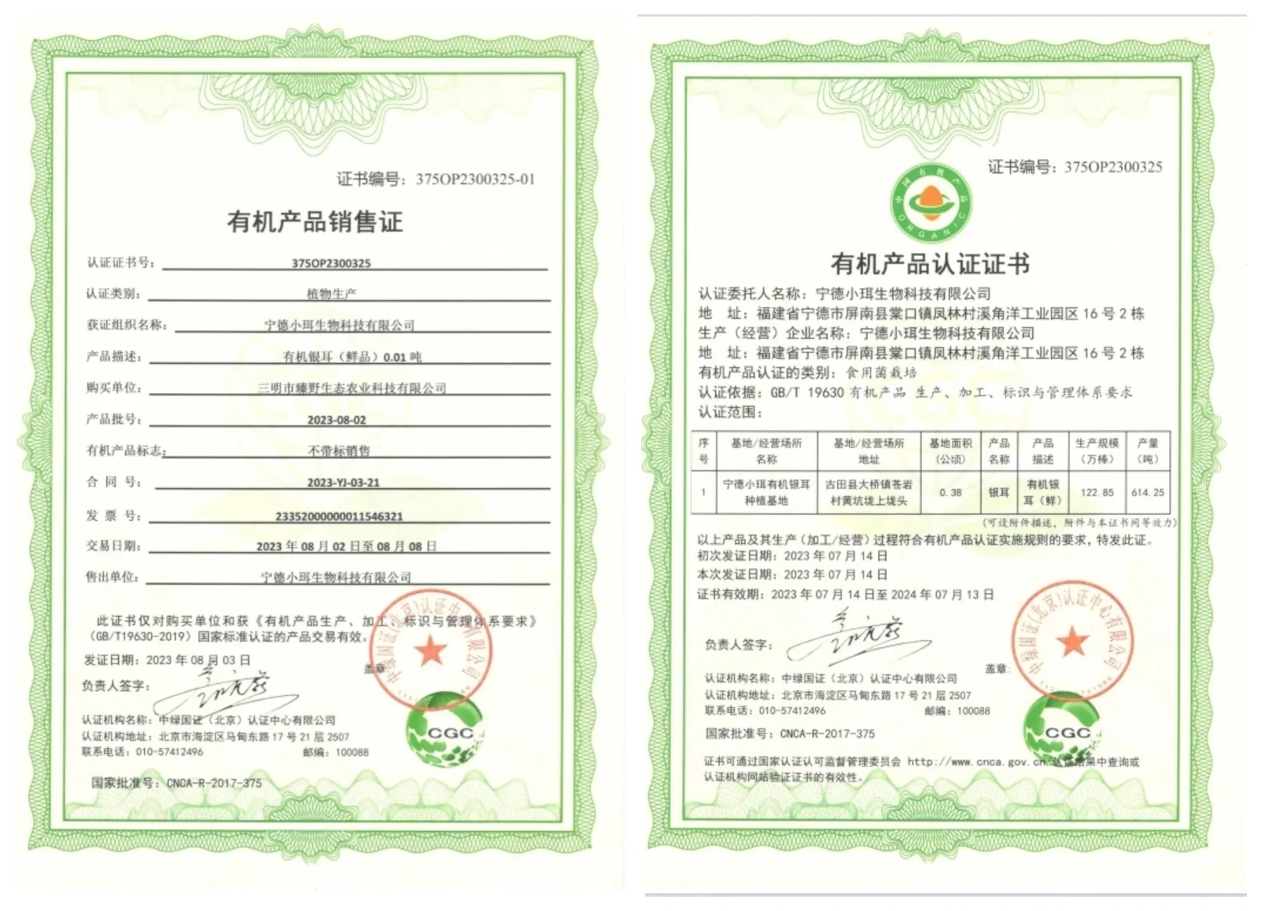 Premium Natural Dried Tremella - Fujian Origin, High Quality Edible Fungus