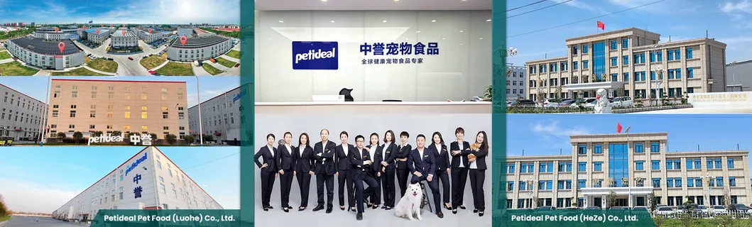 China Pet Treats Manufacture Chicken Breast Jerky OEM Dog Snacks Supplier